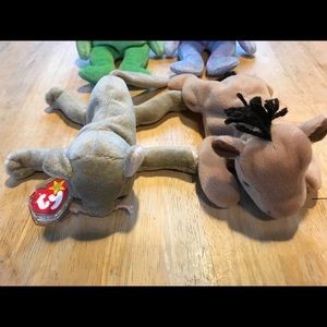Lot of 2 Beanie Babies - Derby the horse from 1995 and scat the cat from 1999